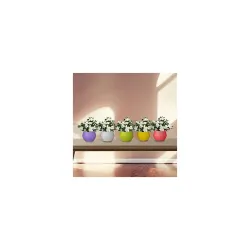 TrustBasket Adam Self-Watering Pots, Set of 5