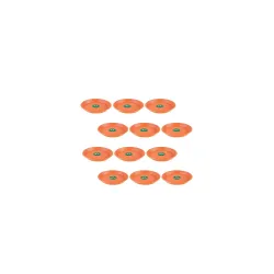 TrustBasket UV Treated Bottom Tray(Plate/Saucer) Suitable for 6 inch Plastic Pot - Terracotta Color - Set of 12