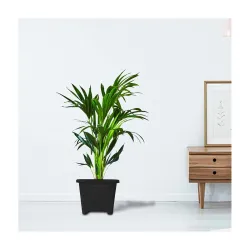 TrustBasket Heavy Duty Plastic Planter Set of 12