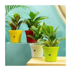 TrustBasket Helix Pot 7-inch Table Top Planter Pot