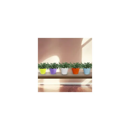 Image of TrustBasket Jasmine Flower Pot (Set of 5