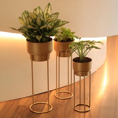 Image of TrustBasket Metal Decorative Floor Plant Stand Set 3