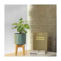 TrustBasket Glare Mid Century Stand with Pot for Indoor Plants & Flowers | Matte Finish | Home Decor Planter for Living Room | Rust-Free Metal Planter