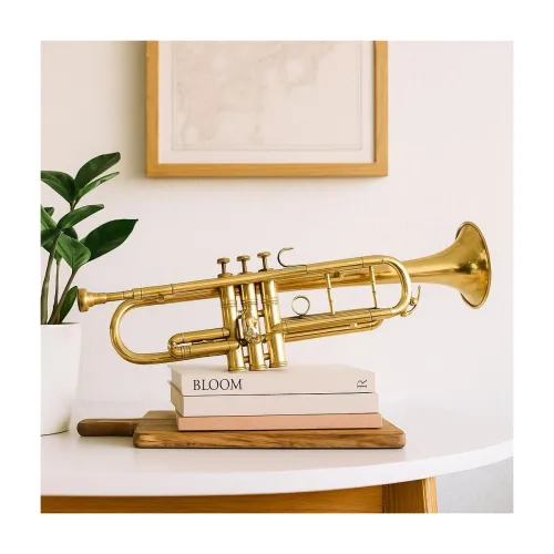 Image of tucasa Vintage Sexophone in Working Condition