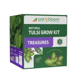 Tulsi Grow Kit with Seeds, Pot & Gardening Essentials