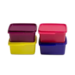 Tupperware Plastic Container 500 ml Set of 4