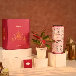UGAOO Diwali Hamper 2