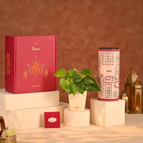 Image of UGAOO Diwali Hamper 5