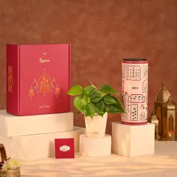 UGAOO Diwali Hamper 5