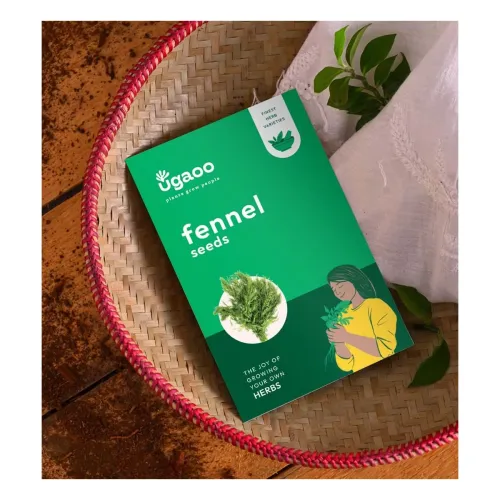 Image of UGAOO Fennel Herb Seeds (Green, Pack of 400)