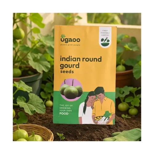 Image of UGAOO Long Bottlegourd Vegetable Seeds (Green, Pack of 10g)