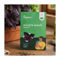 UGAOO Purple Basil Herb Seeds (Purple, Pack of 1000)