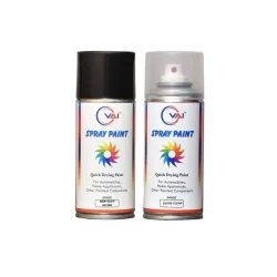 VAI Spray Paint Can Maruti Suzuki Touch-Up (PO2)