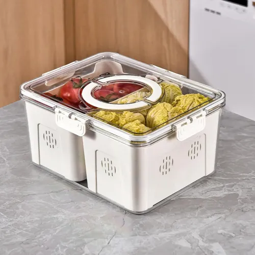 Image of Vasukie Divided Fridge Storage Boxes With 4 Serving Veggie Tray with Lid and Handle, Fridge Organizer with Removable 4 C