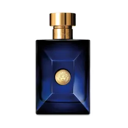 Versace Dylan Blue Pour Homme 100ml For Men