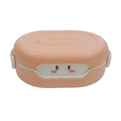Vibgyor Vibes Modern Design 2 Compartment Lunch Box for School Kids Girls and boys