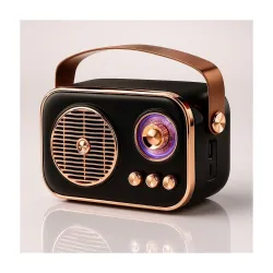 Vintage Bluetooth Wireless Speaker 10W RMS Loud Sound Retro Design with Type-C Charging