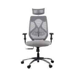 Wakefit Chrome Ergonomic High Back Office Chair With 3 Years Warranty 