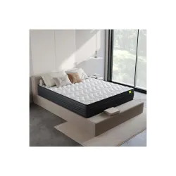 Double Size 72x48x10 Inch Riserox Mattress