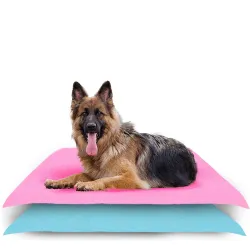 Washable Reusable Dog Pee Pad - Pink & Sea Blue, Large (Pack of 2)