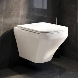 WASSMIST Commodes Toilet Wall Hung P Trap Rimless System with Soft Close Seat