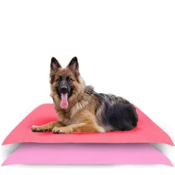 Waterproof Reusable Washable Pee Pads & Hygenic Pet Dry Sheet (Large Combo, Salman Rose + Pink)
