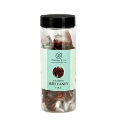 WellNuts & Co. Chatpati Imli Candy Stick | Tangy Tamarind Sticks with Spices | Natural Digestive Candy