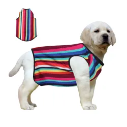 Western Era Dog T-Shirt