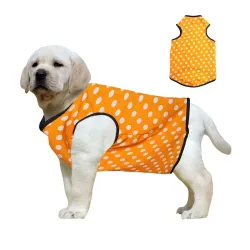 Western Era Funky Dog T-Shirt | Polka Orange XXXL