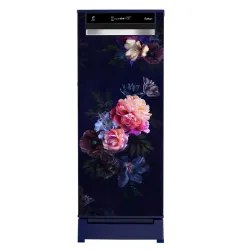 Whirlpool 207 L 4 Star Vitamagic PRO Frost Free Direct-Cool Single Door Refrigerator (230 VMPRO ROY 4S Inv BLUE BELLE EPOQUE-Y, Blue, Auto Defrost Technology, 2026 Model)