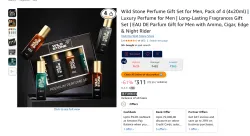 Wild Stone Perfume Gift Set for Men, Pack of 4 (4x20ml)