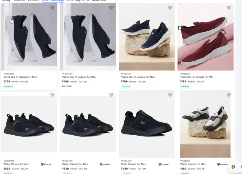 Image of Wildcraft Shoes For Men