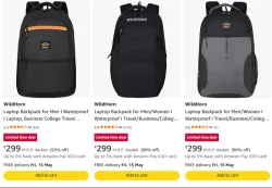 WildHorn Backpack at minimum 90% Discount