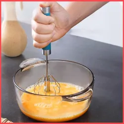 Wolpin Stainless Steel Hand Whisk