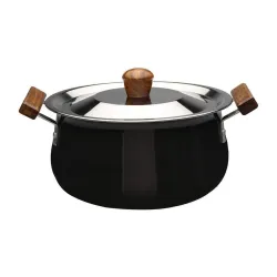 Wonderchef Ebony Hard Anodized Handi 5L
