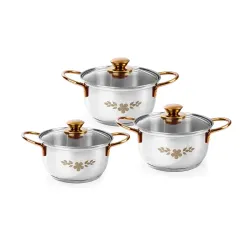 Wonderchef Gold Stanton Stainless Steel 3 piece Casserole Set