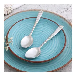 Wonderchef Roma Tea Spoon, Set of 6