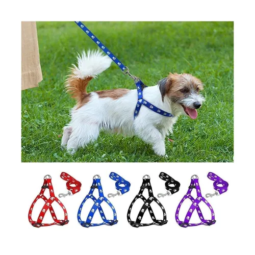 Image of Woofy Nylon Adjustable Leash with Harness