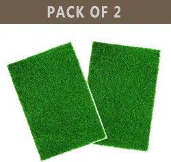 Worthful Creation PP Door Mat Pack of 2