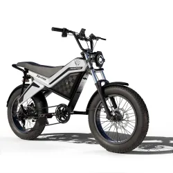 XO-Ride Conqueror Electric Cycle 250W Shimano 7-Speed 36V 15Ah
