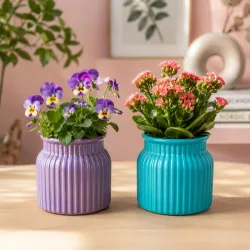 Xtore® 2Pc Charming Ribbed Plastic Planter Pots Set for Indoor Plants & Tabletop Décor | Compact Decorative Flower Pots for Home, Office, Balcony & Shelf Styling (Purple & Blue - Planter Onl...