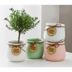 Yo Green Ceramic Plant Pot for Indoor & Outdoor