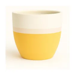 Yo Green Ceramic Pot Indoor/Outdoor Plant - Modern Planter for Home and Office, Durable Ceramic, Stylish Finish with Vertical Ridges, Great Gift Idea (1, White/Yellow)