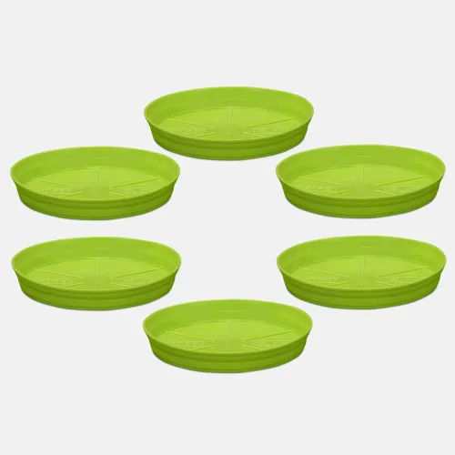 Image of YUCCABE ITALIA SHERA 5 INCH Round Planter Plate Pack of 6