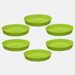 YUCCABE ITALIA SHERA 5 INCH Round Planter Plate Pack of 6