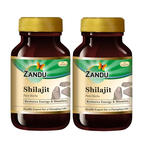 Image of Zandu Shilajit Capsules – 60 x 2 Pack