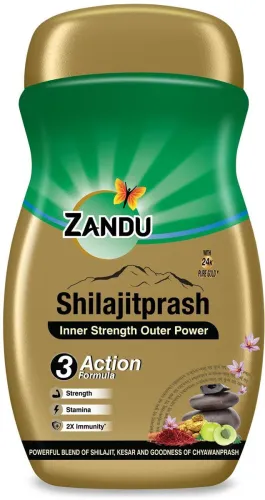 Image of ZANDU Shilajitprash | 3 Action Formula to Boost Strength, Stamina & Immunity (450 g)