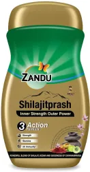 ZANDU Shilajitprash | 3 Action Formula to Boost Strength, Stamina & Immunity (450 g)