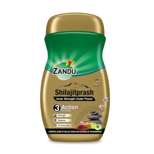 Image of Zandu Shilajitprash 450g | Shilajit + Chyawanprash Herbs