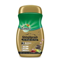 Zandu Shilajitprash Chyawanprash for Strength Immunity